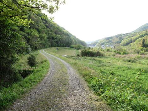 20140426hike (385)